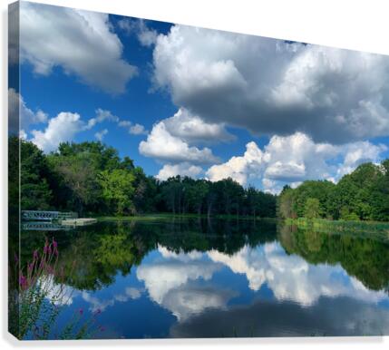 Reflections Canvas Print
