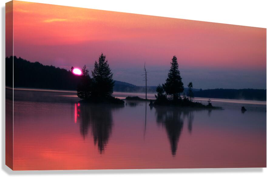 final jpg copy Canvas Print