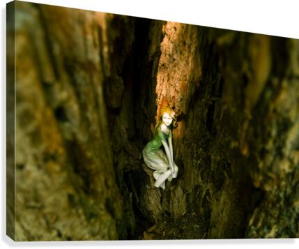 Gem   FINAL JPG Canvas Print