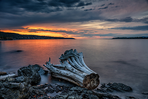 Westcoast Summer Sunset