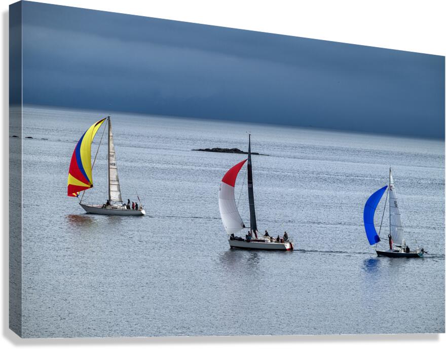  DSC9450 copy Canvas Print