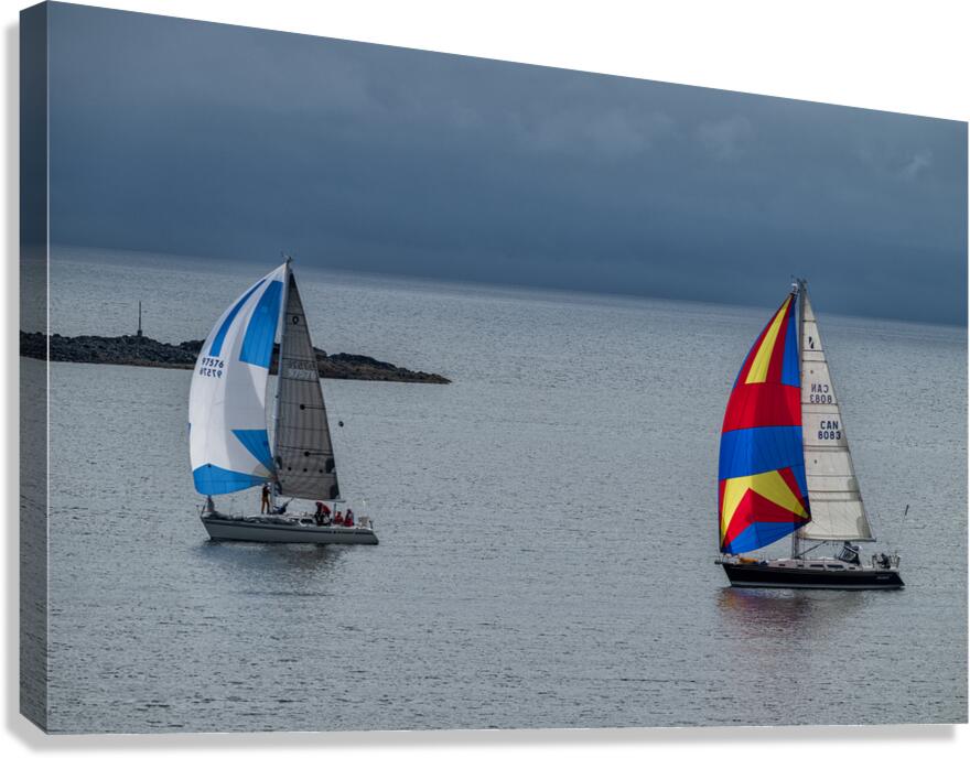  DSC9462 copy Canvas Print