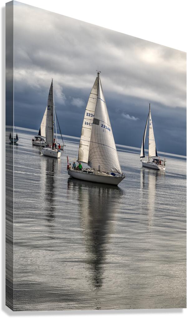  DSC8138 copy Canvas Print