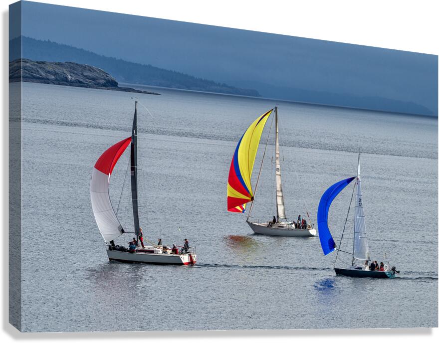  DSC9512 copy Canvas Print