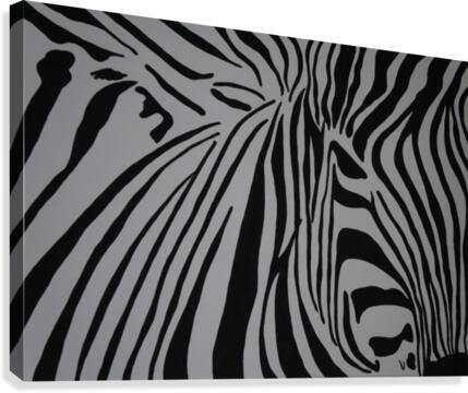 zebra  Canvas Print