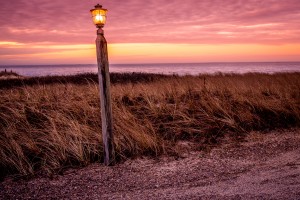Beach Path at Dawn