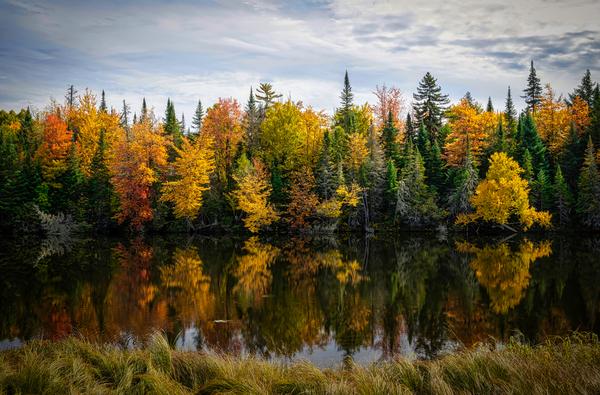 Reflections on the Androscoggin River by Ed St Germain