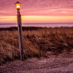 Beach Path at Dawn