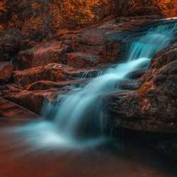 Secluded Forest Cascade