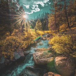 Commanche Peak Wilderness Stream in Autumn