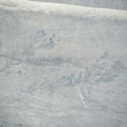 Dendrite Mineral