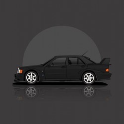 190 EVO2