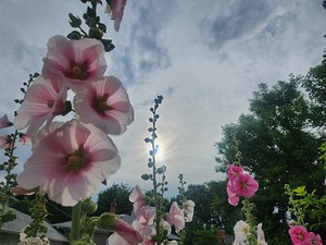 Taller than Me Beauty in the Alley by David W Moore II