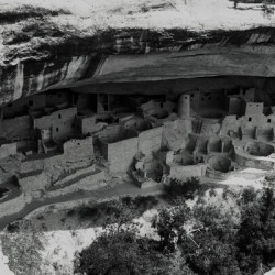 mesa