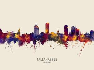 Tallahassee Florida Skyline