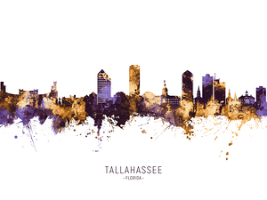 Tallahassee Florida Skyline