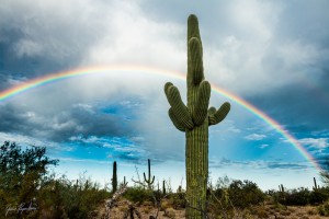 Arizona Rainbows