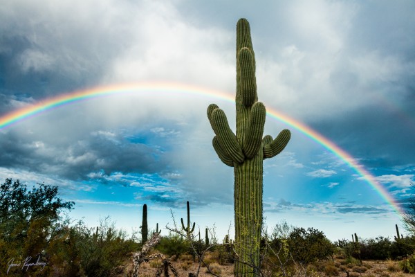Arizona Rainbows by James Rupersburg