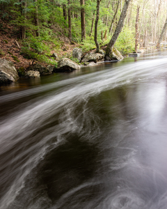 Spring Stream