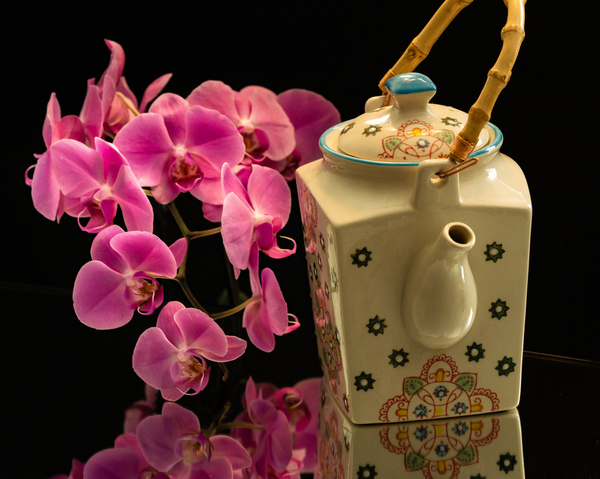 Orchids and Reflections 5 Print
