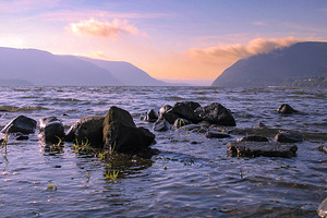 Plum Point