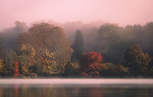 Foggy Morning Sunrise