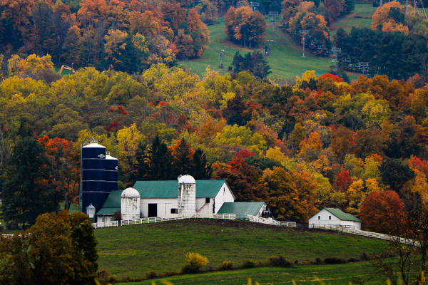 Autumn in Warwick Print