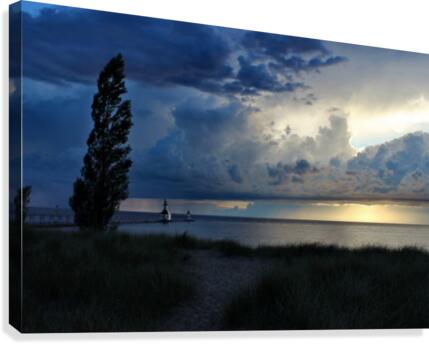 From a Distance Canvas Print