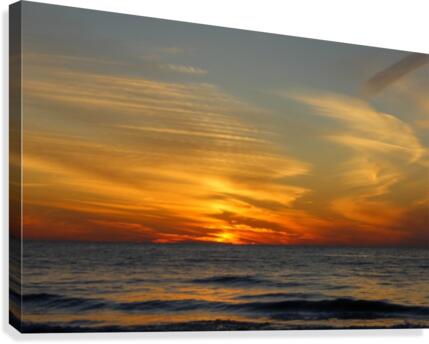 Natures Calling Canvas Print