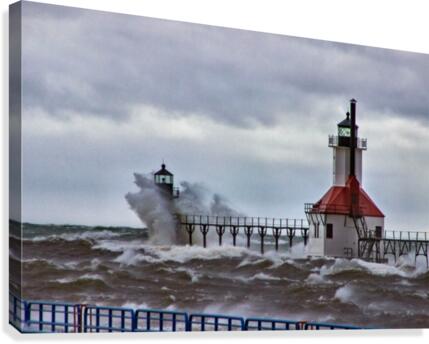 Standing Strong Canvas Print
