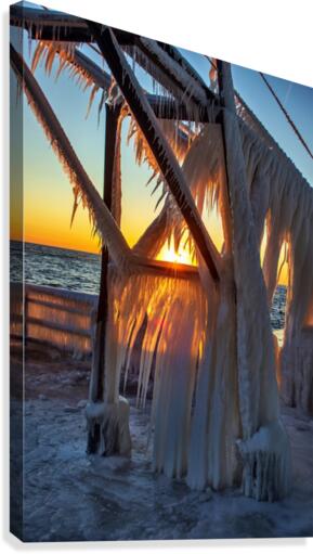 Frozen Canvas Print