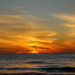 Natures Calling