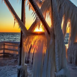 Frozen