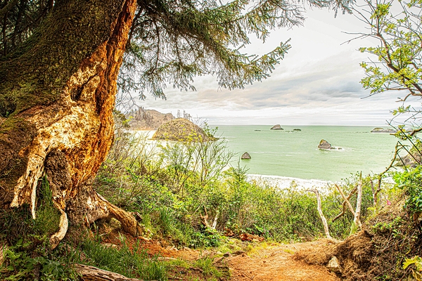 Quiet Cove by Alan Workman Fine Art Photography