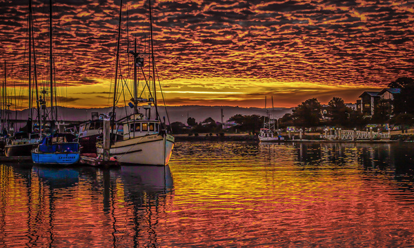 Sunrise Over Woodley Island by Alan Workman Fine Art Photography