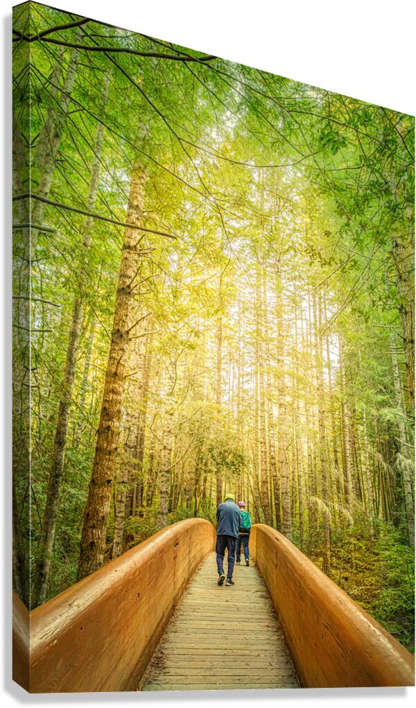 Crossing Over Canvas Print