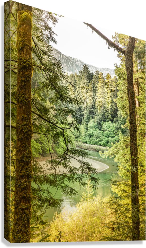 Eel River Canvas Print