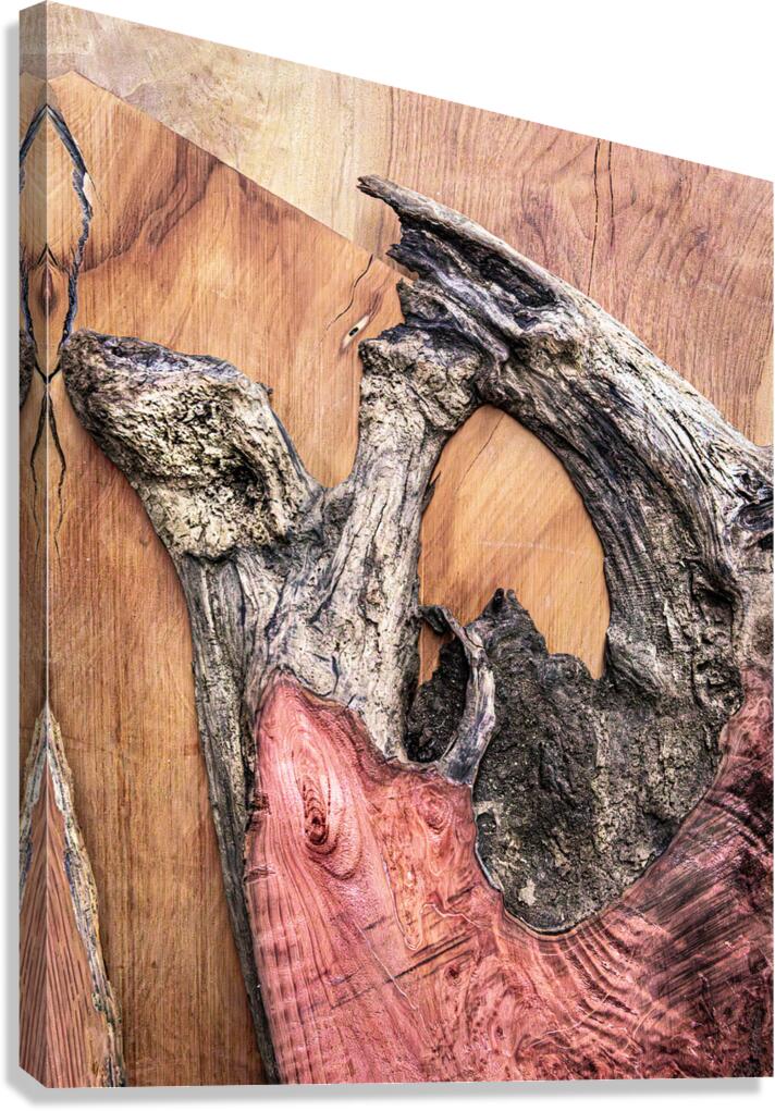 Texture Canvas Print