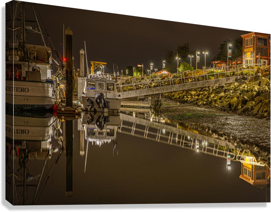 Low Tide Canvas Print