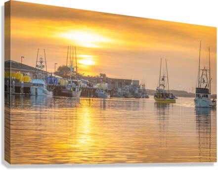 Unloading Canvas Print