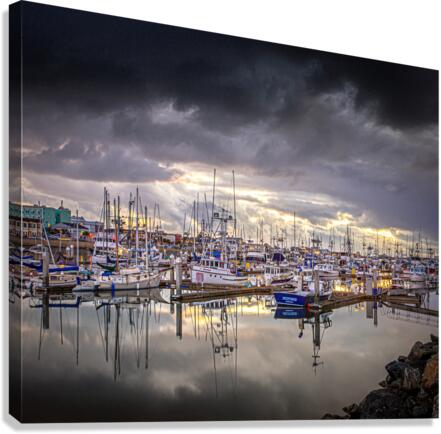 Between Storms Canvas Print