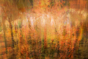 hanukia yeger median 4