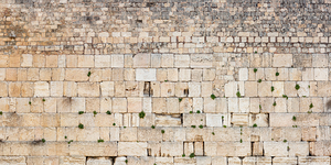 PIC17504 Panoramic 2