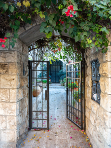 Garden Door Entrance with Ivy and Jerusalem Typical House