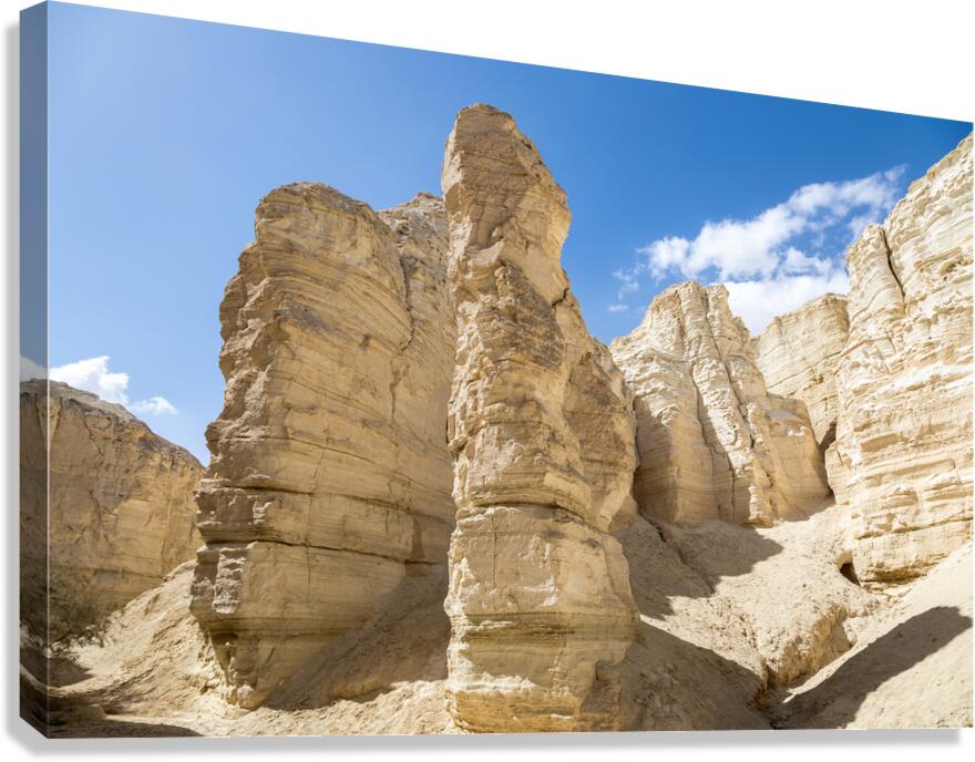 IMG 8112 Canvas Print