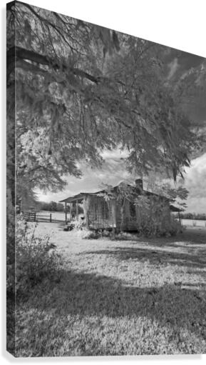 Cracker Cabin Vertical  Canvas Print