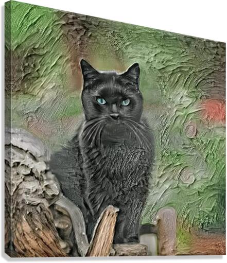 Black Cat  Canvas Print