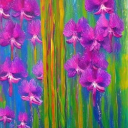 The Orchids