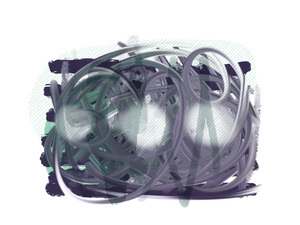 Nest