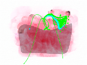 Pink Basket 